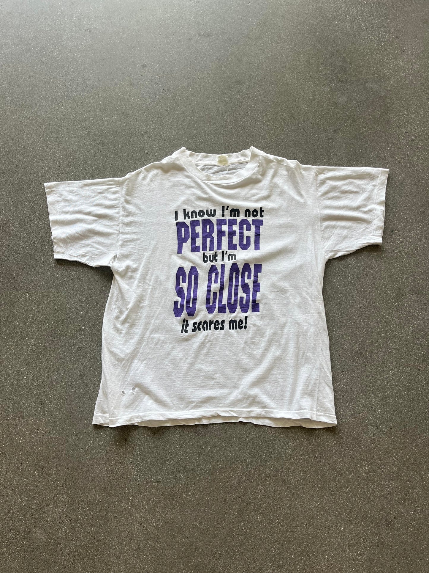 90'S "I'M NOT PERFECT BUT I'M SO CLOSE IT SCARES ME!" TEE - BOXY L