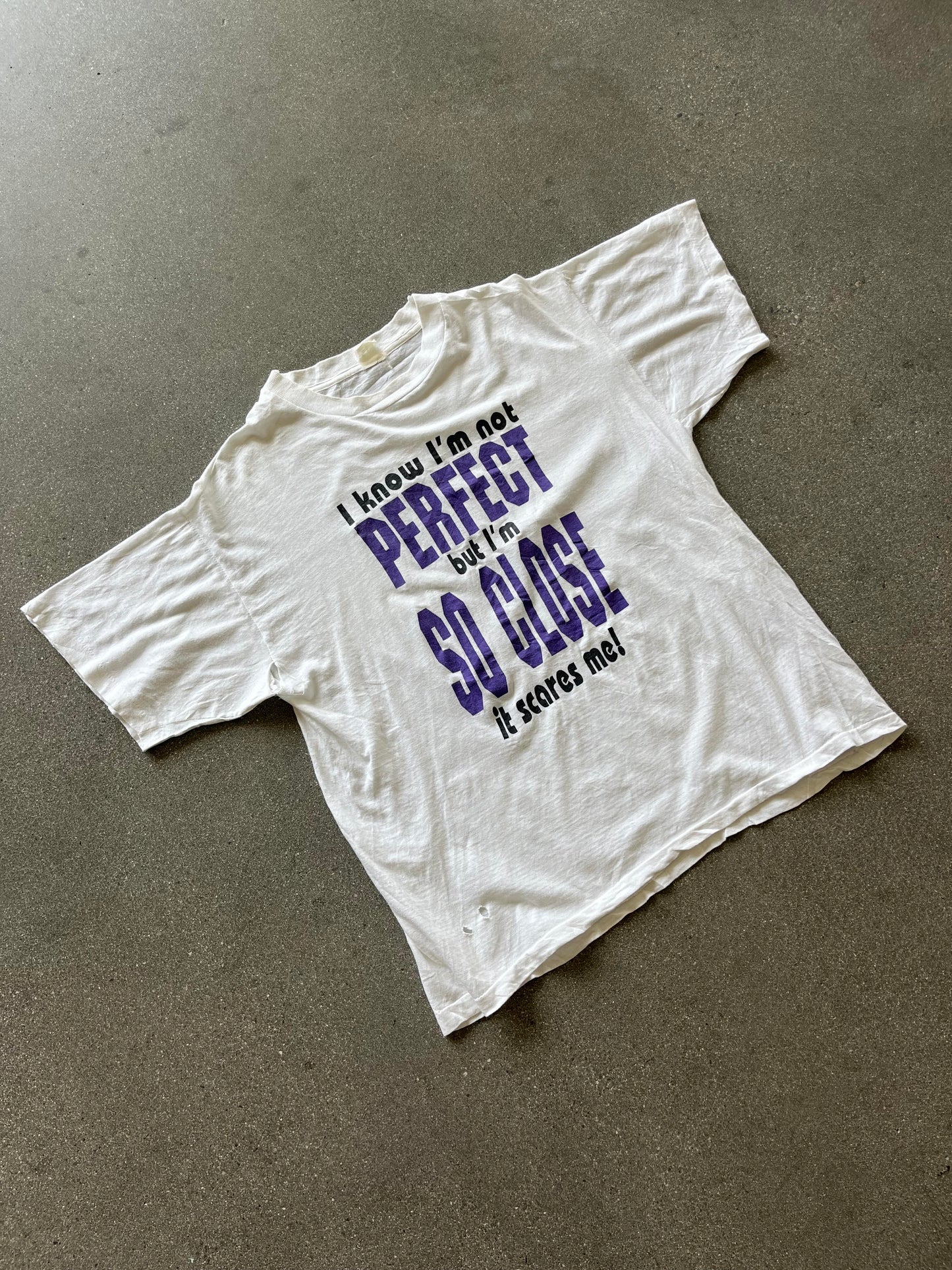 90'S "I'M NOT PERFECT BUT I'M SO CLOSE IT SCARES ME!" TEE - BOXY L